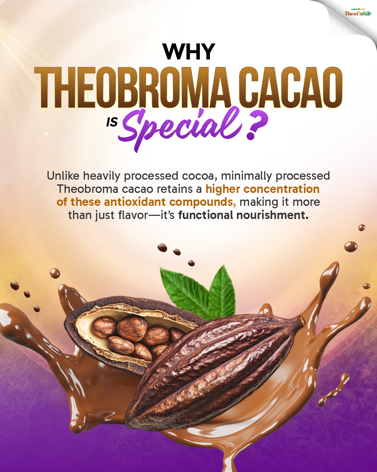 TheoCoBar Premium Chocolate Drink Mix