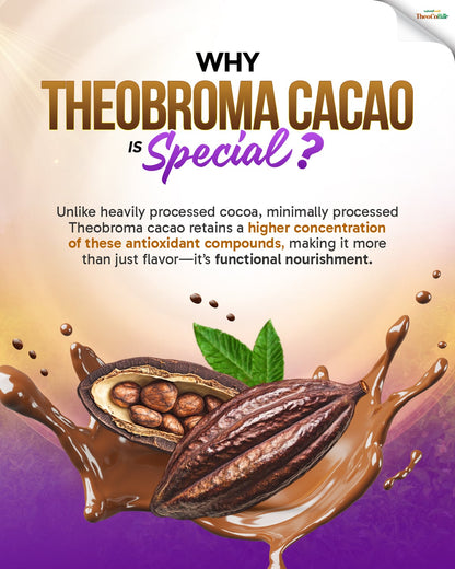 TheoCoBar Premium Chocolate Drink Mix