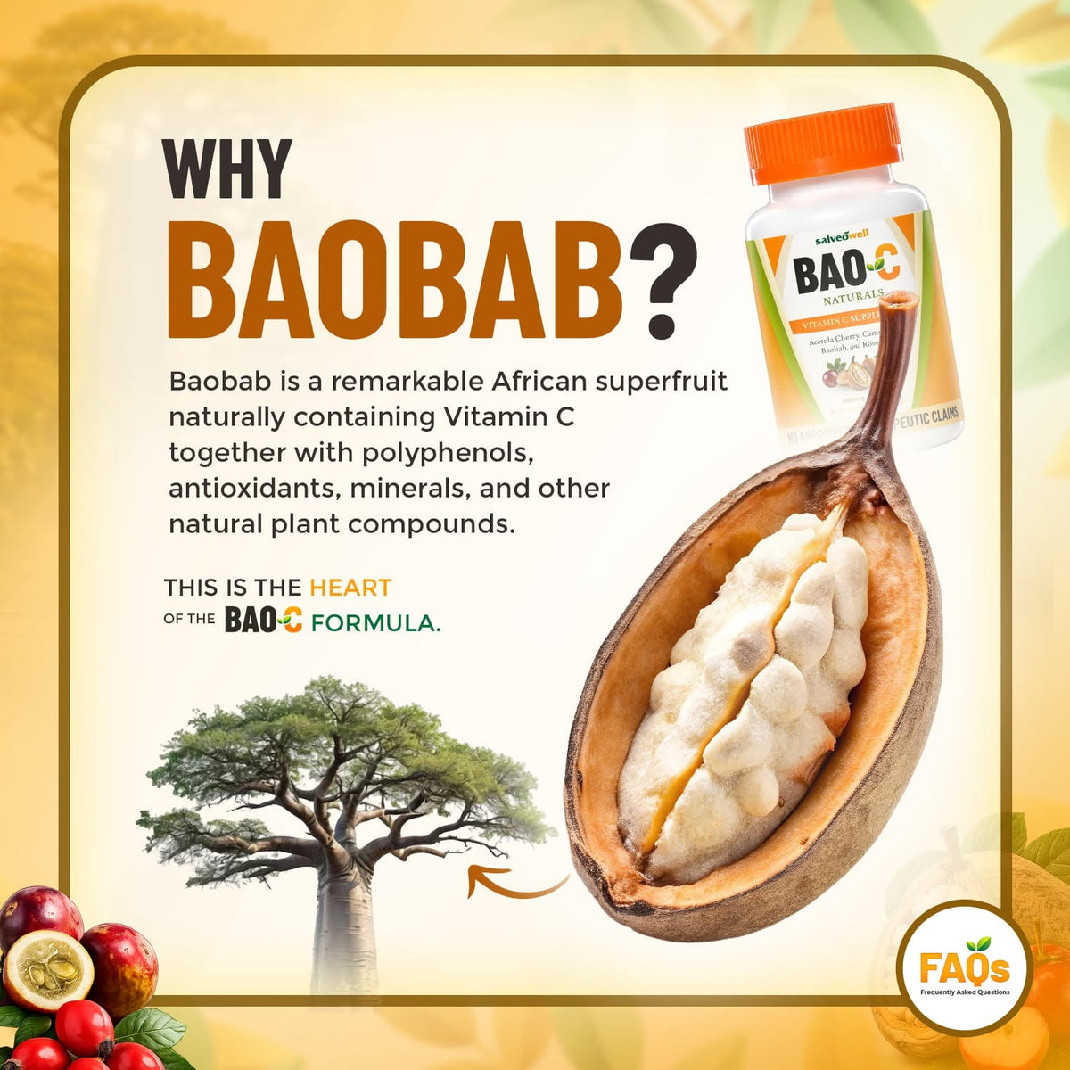 BAO-C Nature's Complete Vitamin C Made from 4 Superfruits