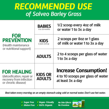 Two (2) Salveo Barley Grass Powder in TRIAL PACK, 80grams, 40servings X 2grams (Pure & Organic)